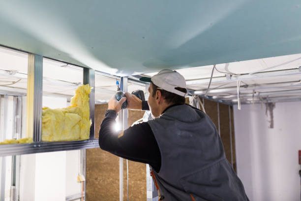 Best Insulation for New Construction  in Spanish Fort, AL